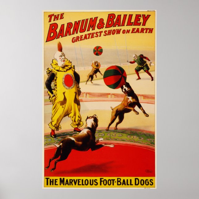 Das wunderbare Poster der Foot Ball Hunde (Vorne)