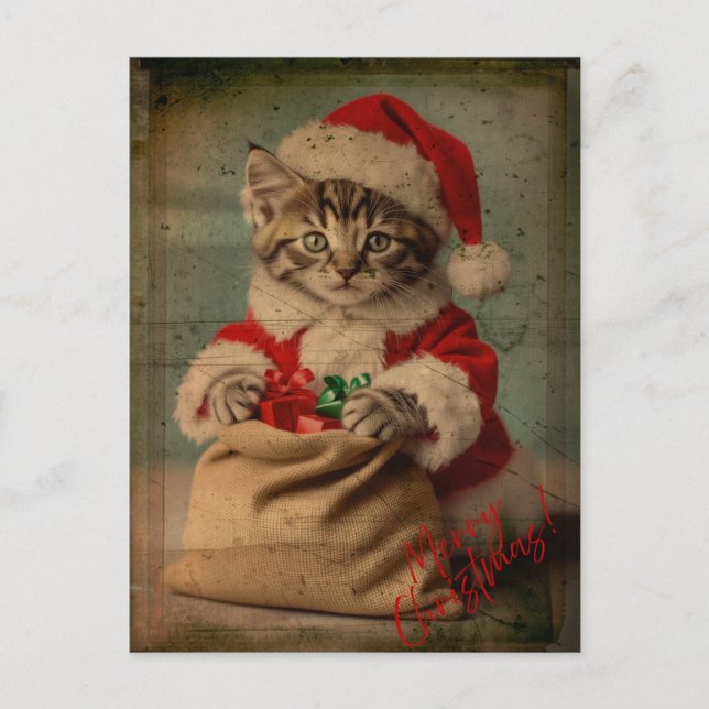 Das 'Yuletide Yawn' Dashing Kitten Weihnachten Postkarte (Vorderseite)