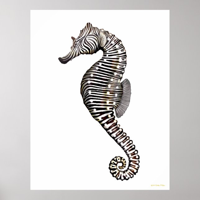 Das Zebra Seepferd Art Poster (Vorne)