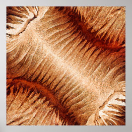 Das zerbrechliche Roar Poster