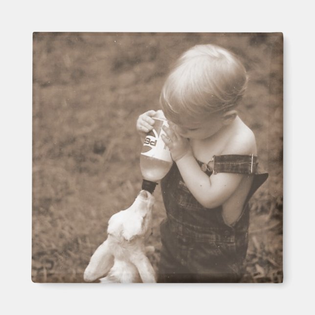 Das Ziegenmagnet fütternd Magnet (Vorne)