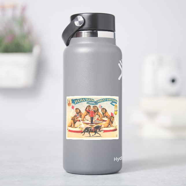 Das Zirkusposter Julius sieht mit seinen Löwen Aufkleber (HydroFlask)