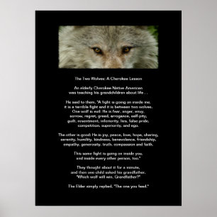 Das ZWEI WOLF-CHEROKEE LEKTION Kunst-Plakat Poster