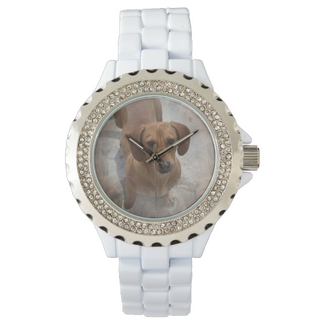 Daschund Armbanduhr (Vorderseite)