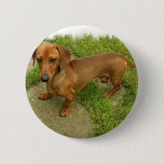 Daschund Button