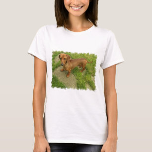Daschund Damen-angepasster T - Shirt