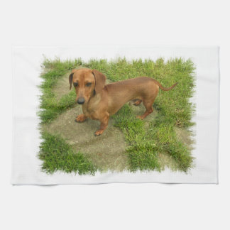 Daschund Geschirrtuch