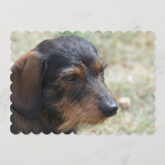 Daschund-Hund Einladung