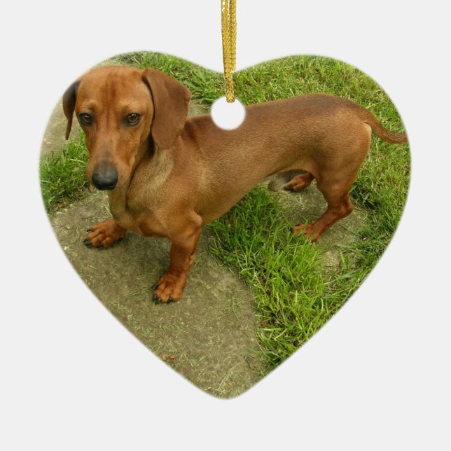 Daschund Hundeverzierung Keramik Ornament (Vorne)