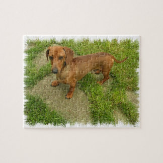 Daschund Puzzlespiel Puzzle