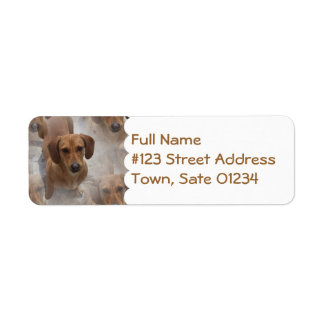 Daschund Rescue Mailing Label