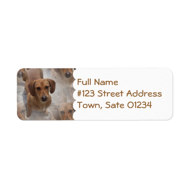 Daschund Rescue Mailing Label (Vorne)