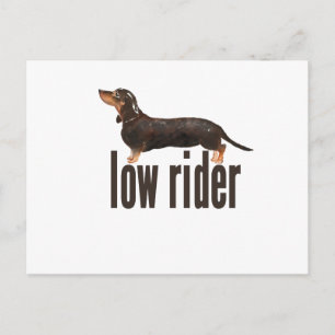 Daschund Sausage Dog Postkarte