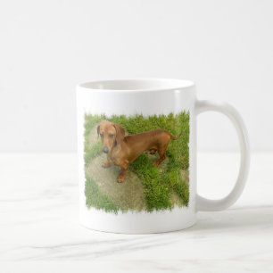 Daschund Tasse