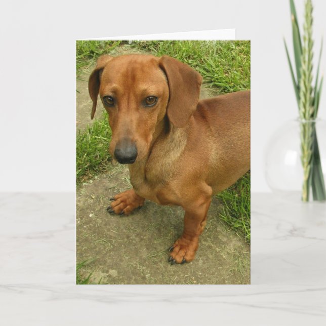 Daschund Vertical Greeting Card Karte (Vorderseite)