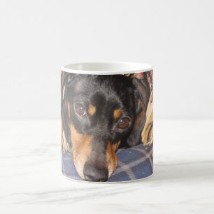 Daschund Weener Hundegesicht Kaffeetasse