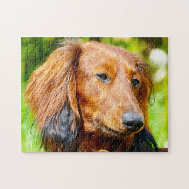 Dashound Hund. Puzzle (Horizontal)