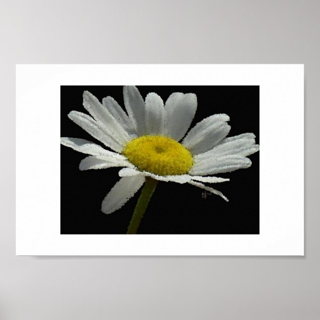 Dasiy Poster (Vorne)