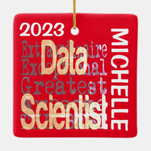 Data Scientist Extraordinaire CUSTOM Keramikornament