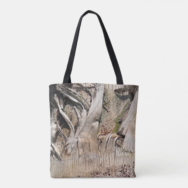 Date Palm Tree Trunk Texture Closeup Foto Image (Rückseite)