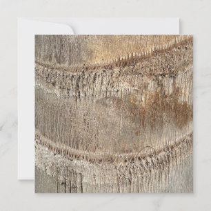 Date Palm Tree Trunk Texture Closeup Foto Image Karte