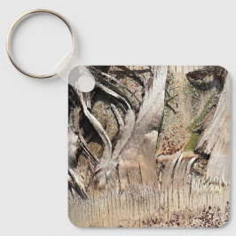 Date Palm Tree Trunk Texture Closeup Foto Image Schlüsselanhänger