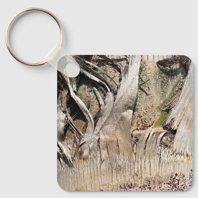 Date Palm Tree Trunk Texture Closeup Foto Image Schlüsselanhänger (Vorderseite)