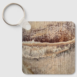 Date Palm Tree Trunk Texture Closeup Foto Image Schlüsselanhänger