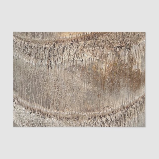 Date Palm Tree Trunk Texture Closeup Foto Image Seidenpapier (Vorderseite)