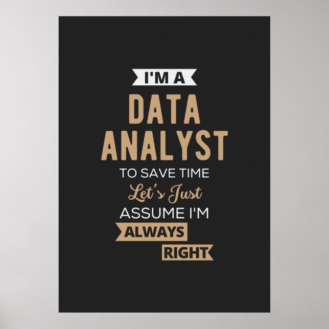 Datenanalyst Poster (Vorne)