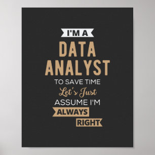 Datenanalyst Poster