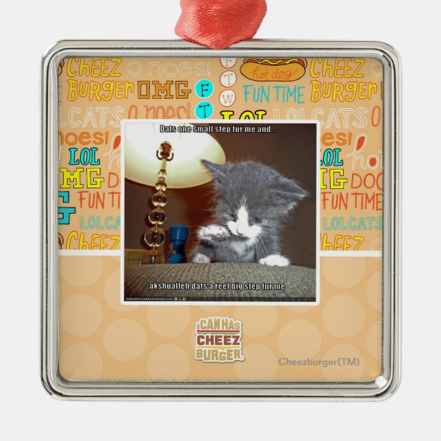 Dats ein kleiner Schrittpelz ich Ornament Aus Metall (Vorne)