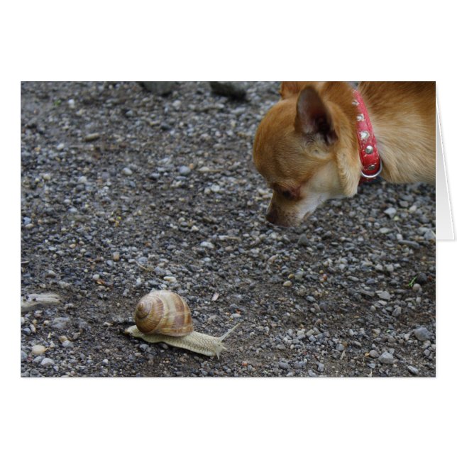 Datum (Vorderseite (Horizontal))