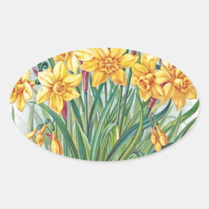 Datum RSVP Blumen Osterglocke gelb vintage Ovaler Aufkleber