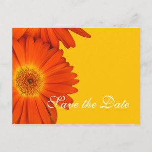 Datum speichern, Gerbera-Daisy-Blumen Ankündigungspostkarte