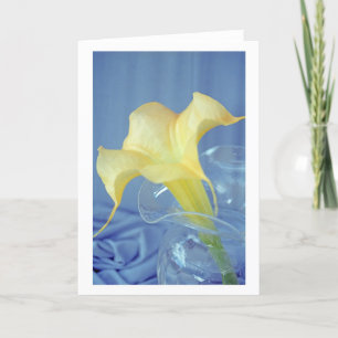 Datura Blume Foto Grußkarte Karte