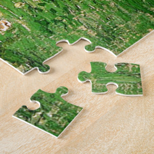 Daubignys Garten. Vincent van Gogh, schön Puzzle