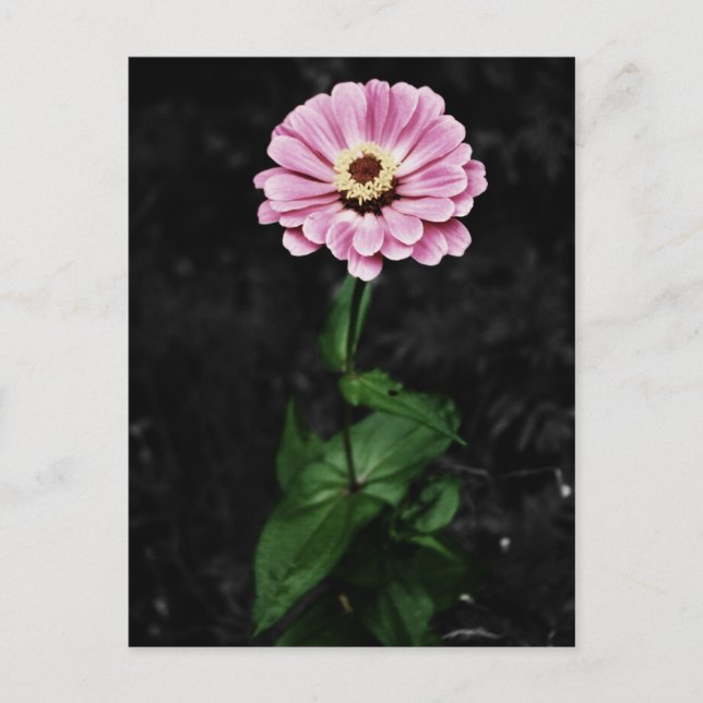 Dauerhafter Eindruck Postkarte (Vorderseite)