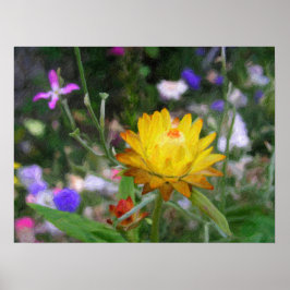 Dauernde Blume. Poster