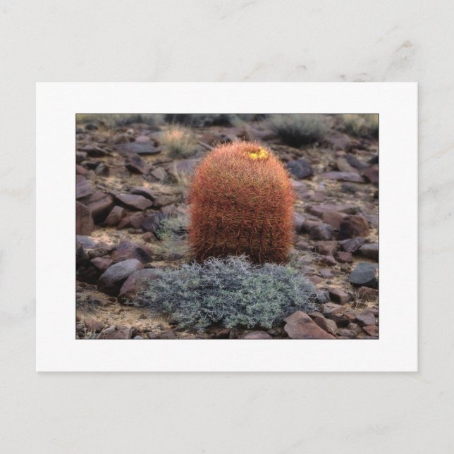 "Daumen hoch" Postkarte (Vorderseite)