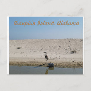 Dauphin Island, Alabama mit Blue Heron Postcard Postkarte