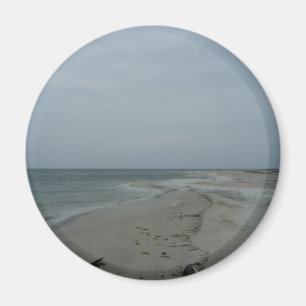 Dauphin Island Magnet #2