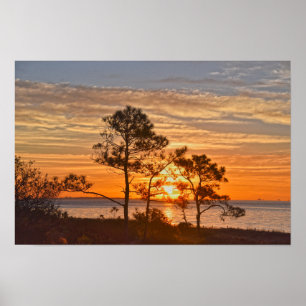 Dauphin Island Refugium Sunrise, Alabama Poster