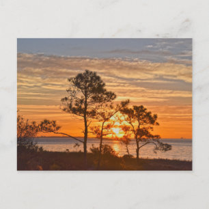 Dauphin Island Refugium Sunrise, Alabama Postkarte