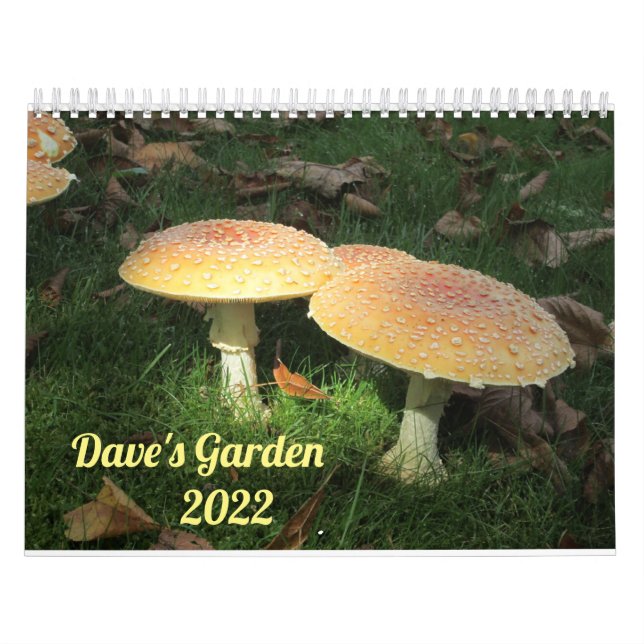 Dave’s Garden 2022 Calendar Kalender (Titelbild)