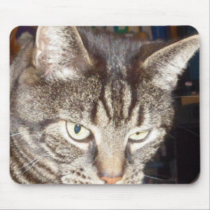 Dave sieht dir Mousepad zu