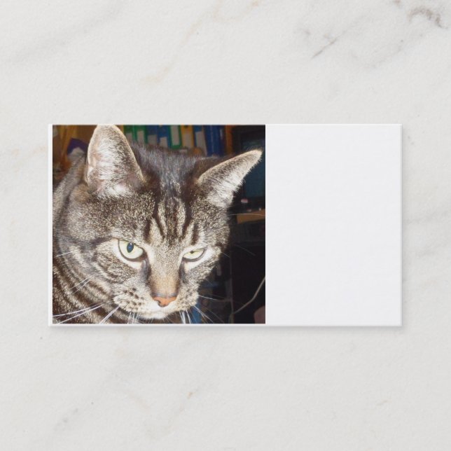 Dave sieht dir Visitenkarten an Visitenkarte (Vorderseite)