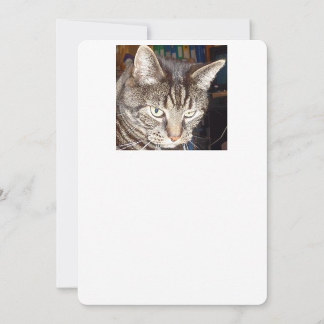 Dave sieht dir zu, wie du einladest einladung (Vorderseite)