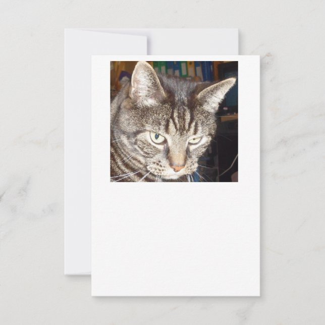 Dave sieht dir zu, wie du einladest einladung (Vorderseite)