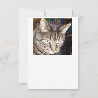 Dave sieht dir zu, wie du einladest einladung